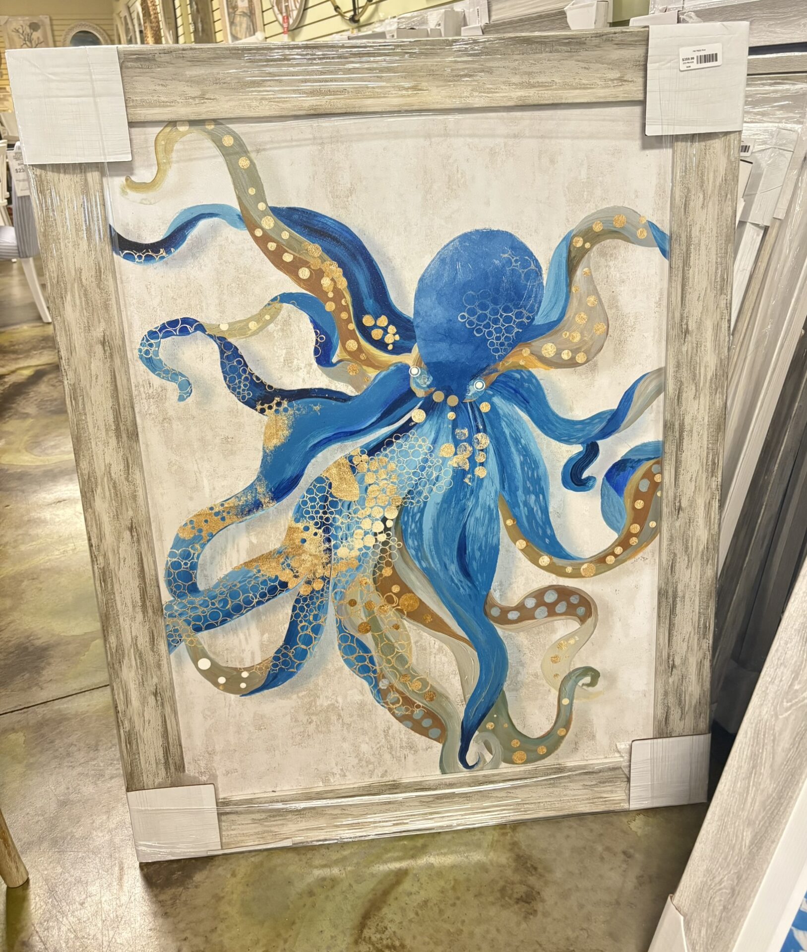 Octopus Picture