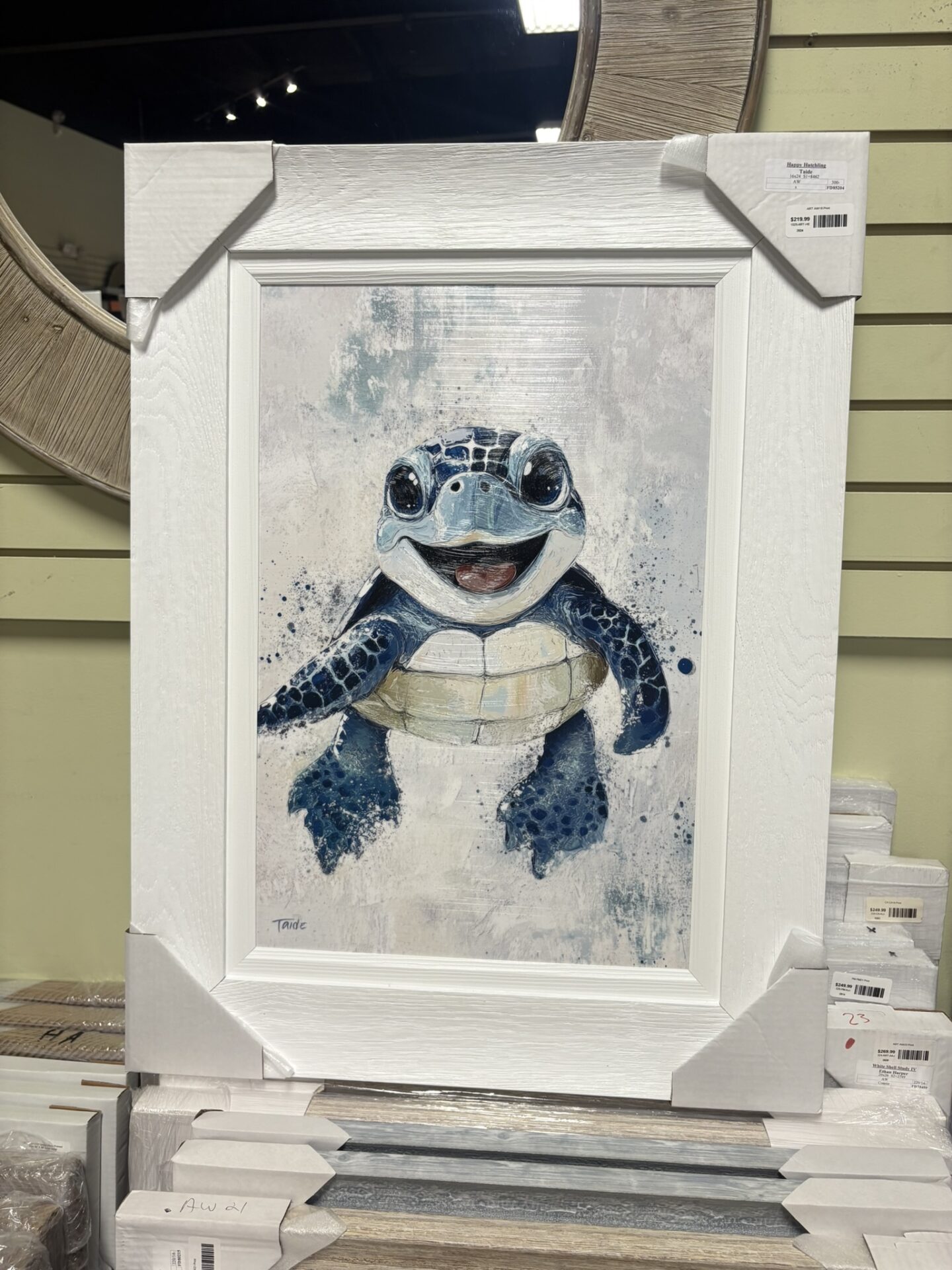 Turtle Picture